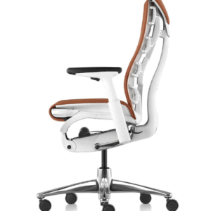Ergonomic Office Chair